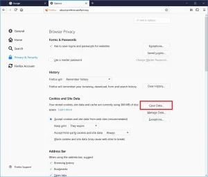 Google Firefox clear data