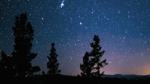 blue and purple night sky with stars and trees in the distance